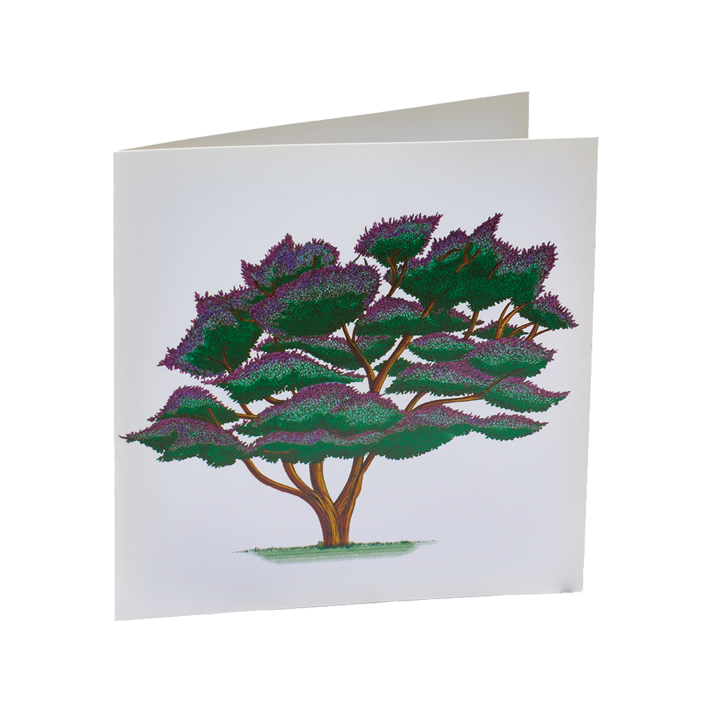 Illustrated tree on a white background. One trunk branching into 5 with green and purple leaf tuffs on the ends of the branches